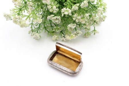 Caixa de rapé em prata com gravados vegetalistas e tampa basculante